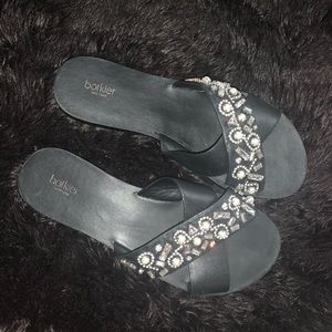 Botkier slides
